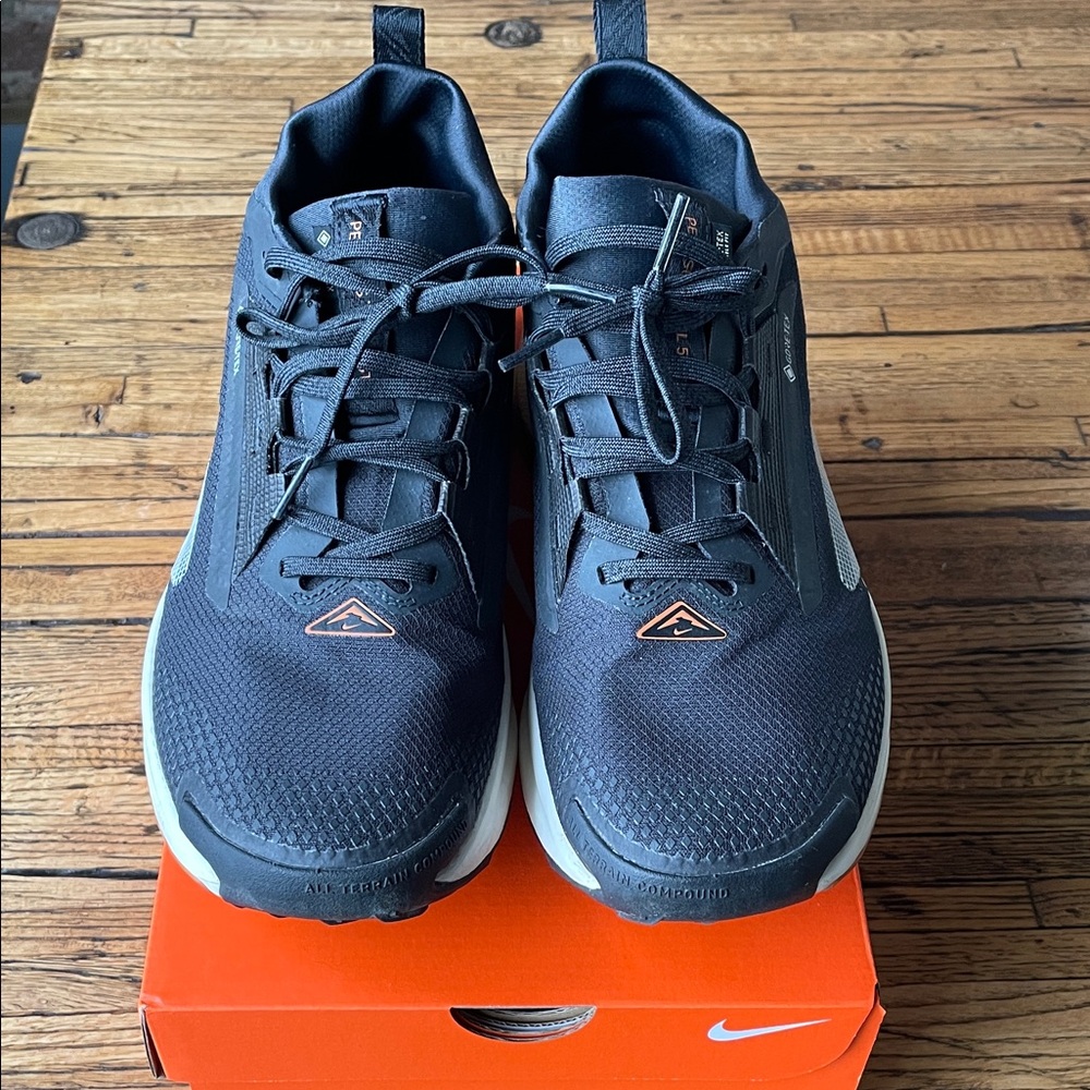 Nike Men's Pegasus Trail 5 Gore-Tex Black Running Shoes